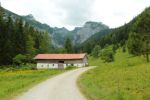 2014-07-05_Laengental-N-Hochweg (302). JPG
